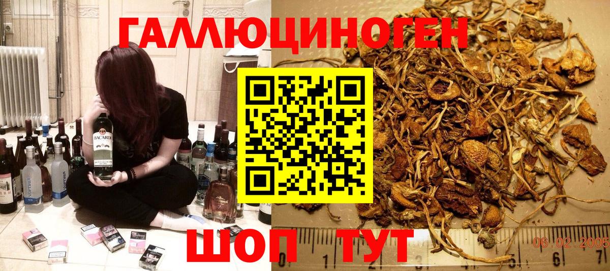 Галлюциногенные грибы GOLDEN TEACHER Карасук