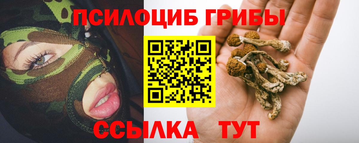 Карасук  Псилоцибиновые грибы ЛСД  Вход с VPN 